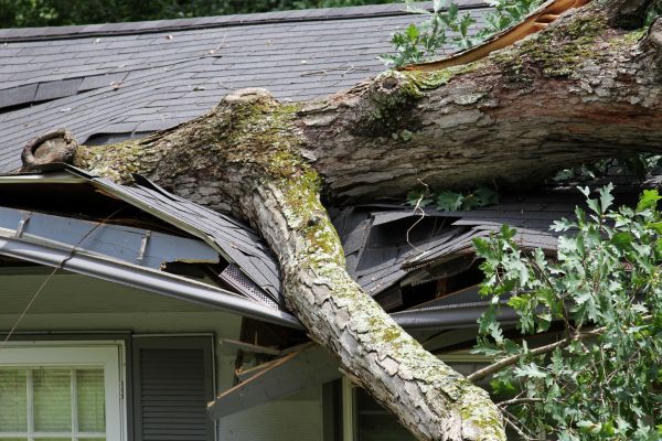 Storm Remediation in Stuart