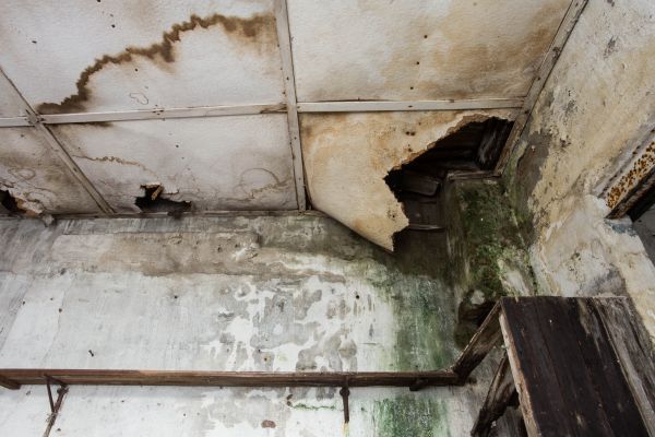 Water Damage Service in Stuart