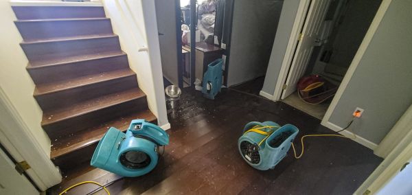 Water Damage Remediation in Stuart