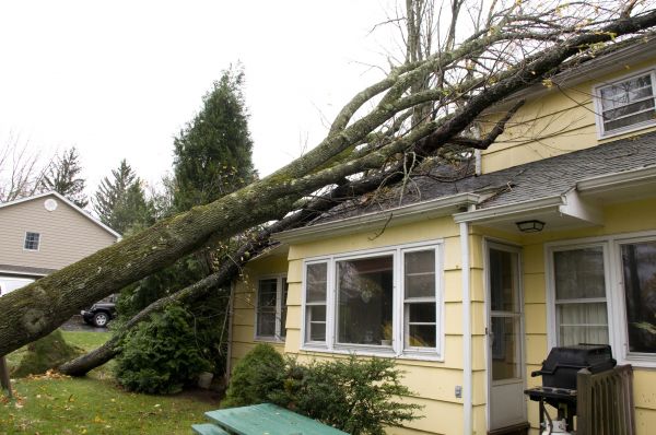 Hurricane Damage Repair in Stuart